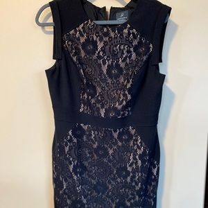 Adrianna Papell Lace Inset Sheath Dress Size 14
